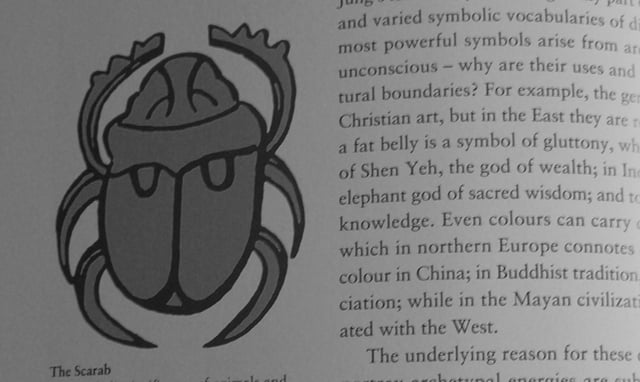 A scarab (bug) in a book